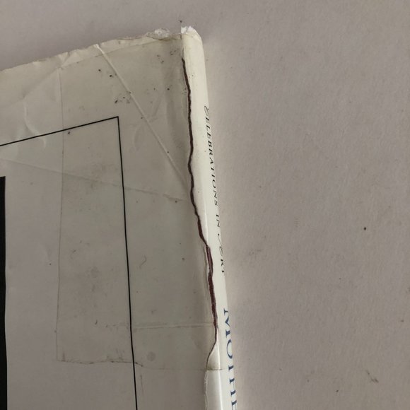 Fr Mothers & Children (Celebrations in Art) Hardcover - Picture 3 of 16